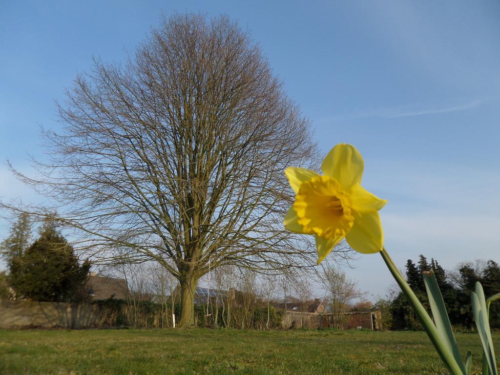 Villa Bijenhof Varsenare ห้อง รูปภาพ