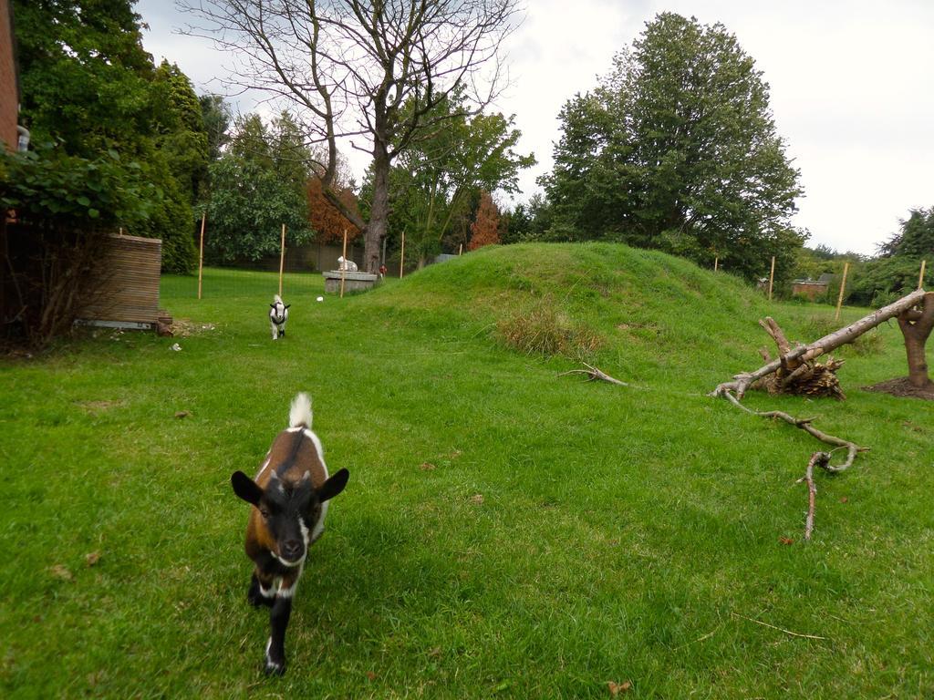 Villa Bijenhof Varsenare ห้อง รูปภาพ