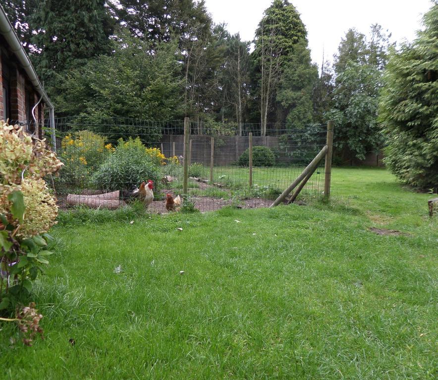 Villa Bijenhof Varsenare ห้อง รูปภาพ