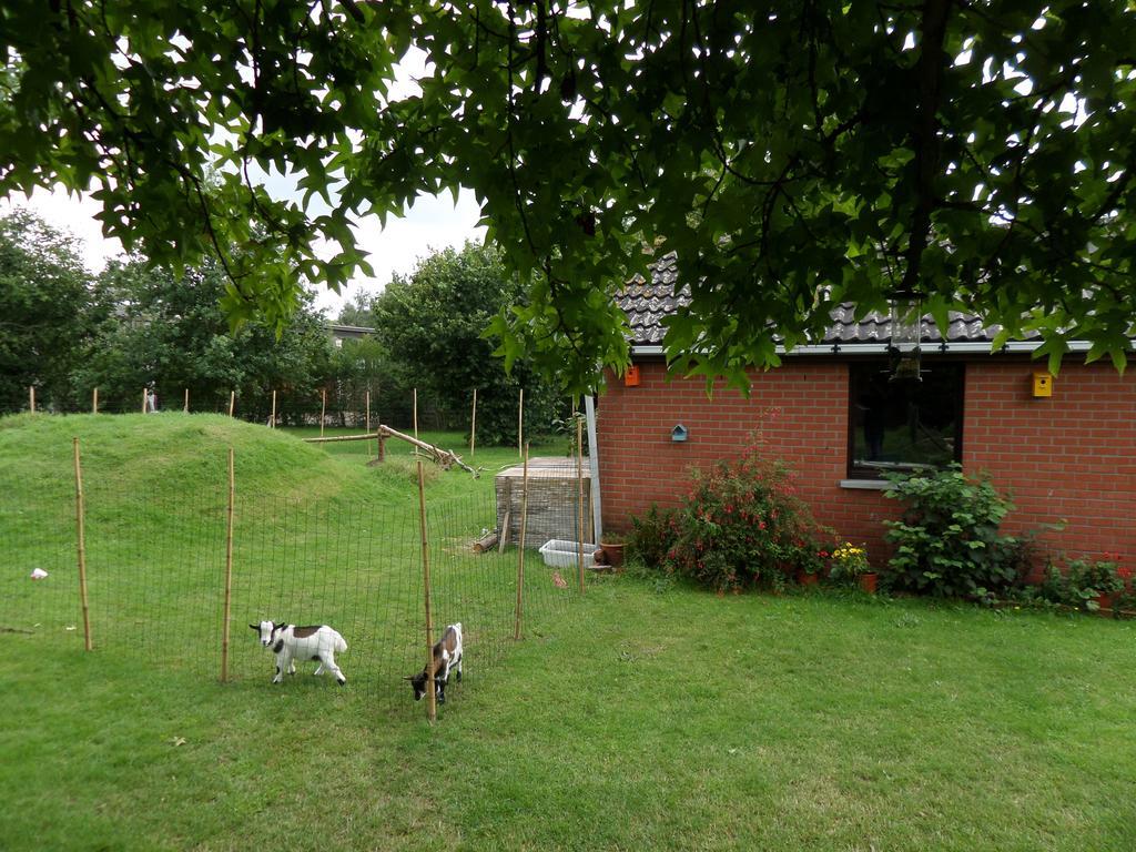 Villa Bijenhof Varsenare ห้อง รูปภาพ