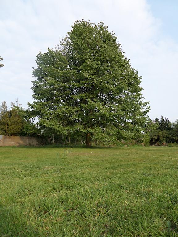 Villa Bijenhof Varsenare ห้อง รูปภาพ